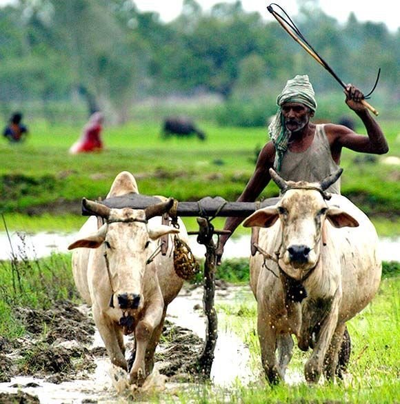 RojKam Farm Labour App — Gujarat ખેડૂત મજૂર